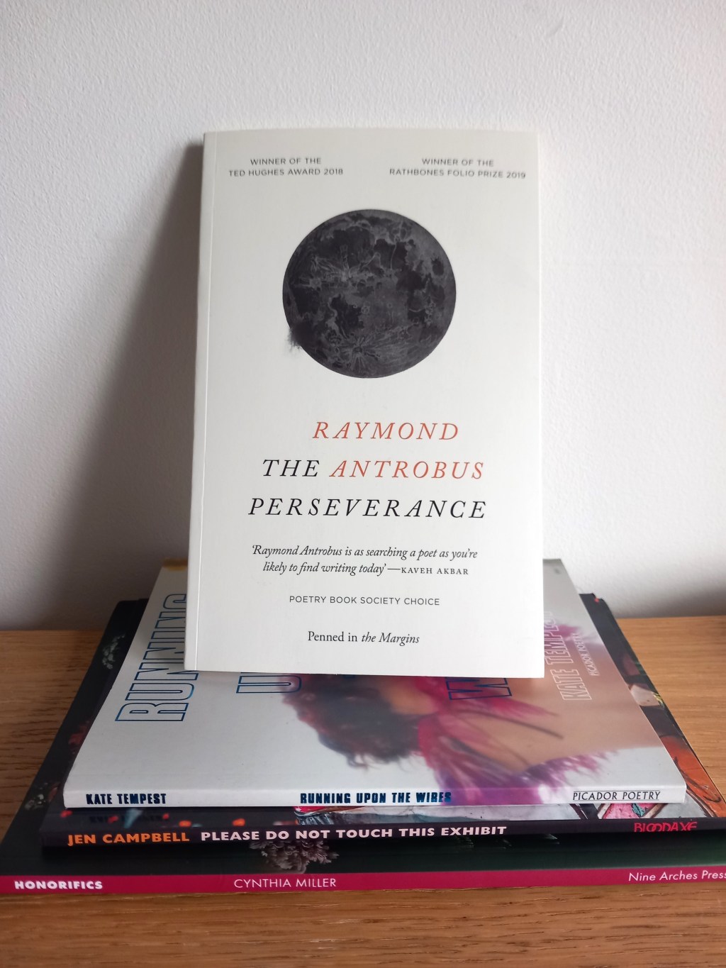 The Perseverance: Book&nbsp;Review